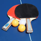 Victory Professional 25mm Table Tennis Table with Two Carriage Transport